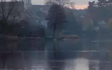 przyroda20