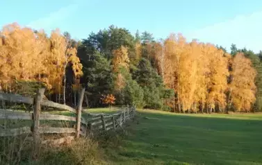 przyroda23