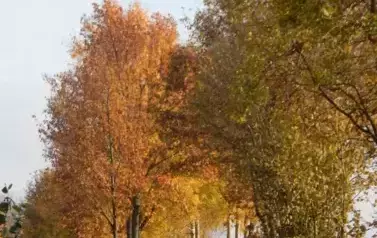 przyroda25