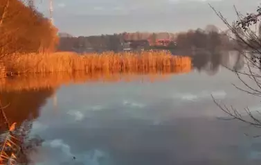 przyroda29