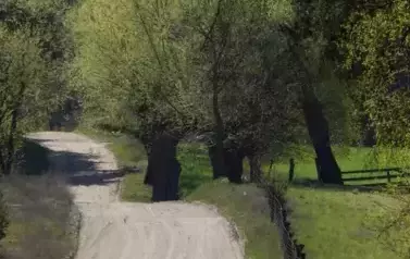 przyroda30