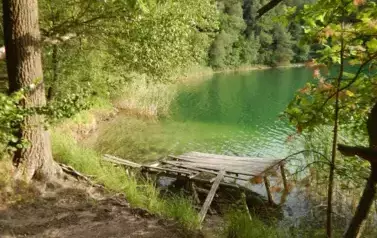 przyroda33