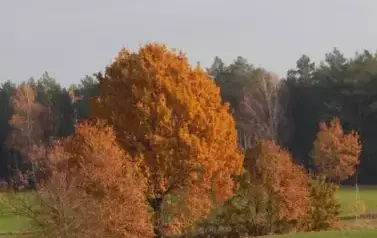 przyroda34