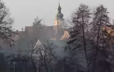 przyroda36