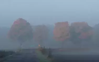 przyroda6