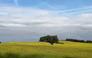 przyroda10