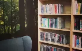 bibliotek